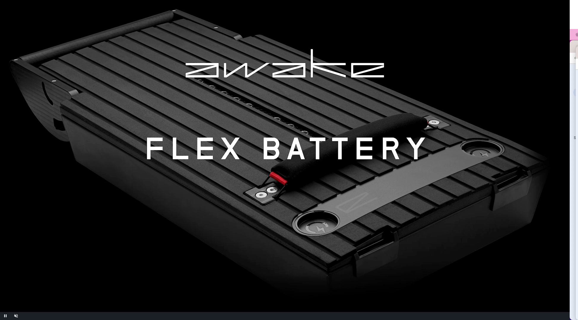 Flex Battery – Awake